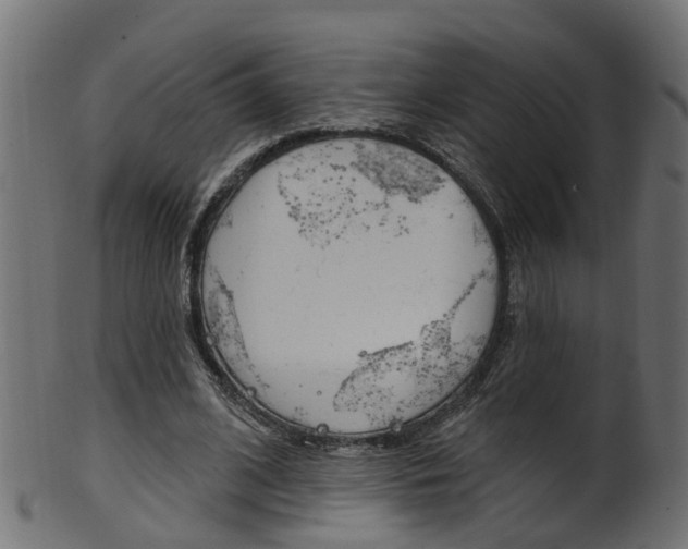 X0000102040584200807181032