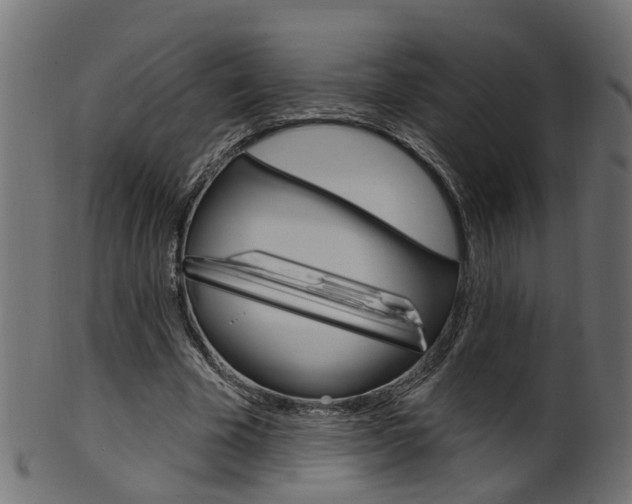 X0000102040585200807181032
