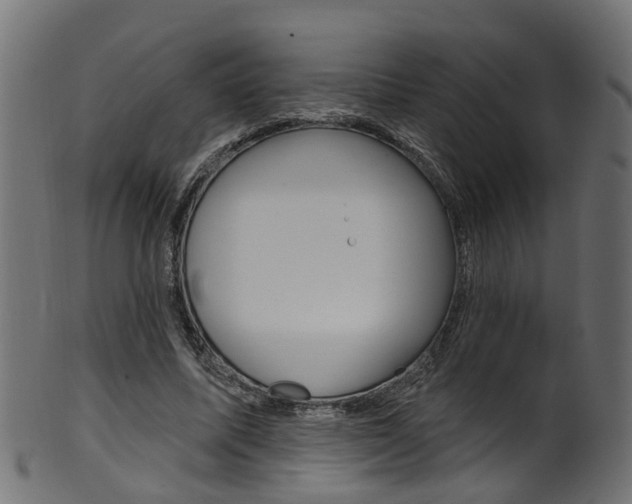 X0000102040587200807181032
