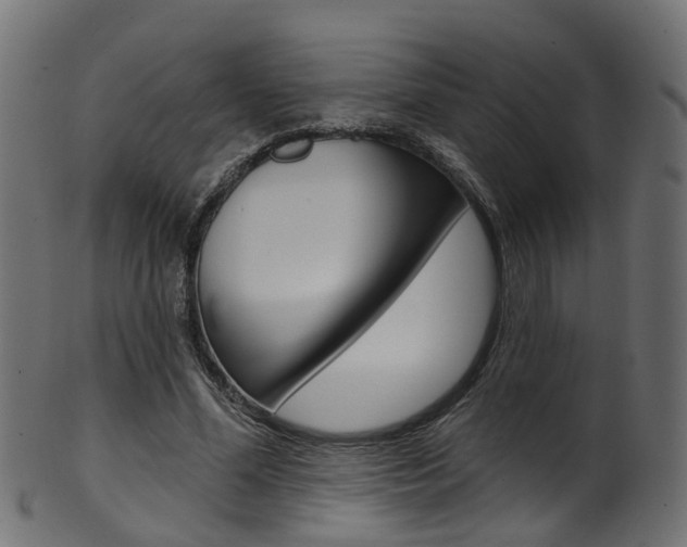 X0000102040588200807181032