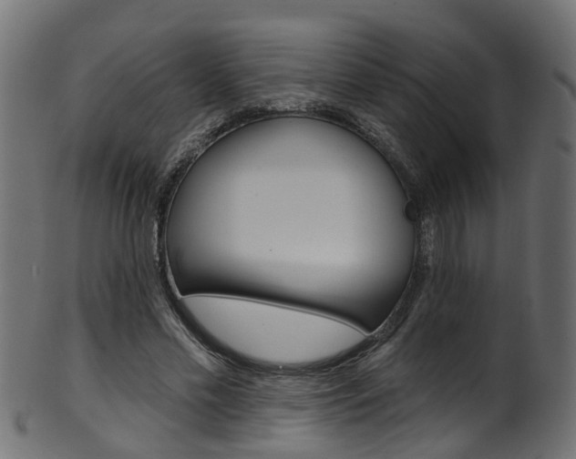 X0000102040589200807181032
