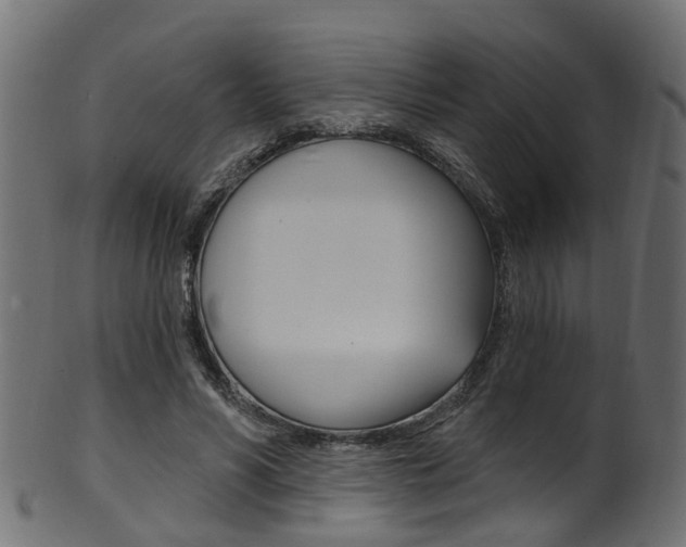 X0000102040590200807181032
