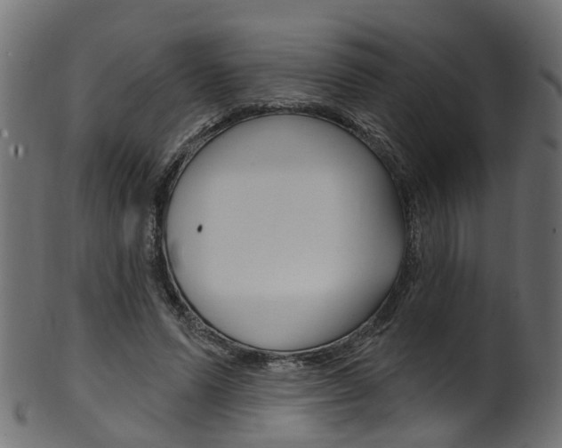 X0000102040591200807181032