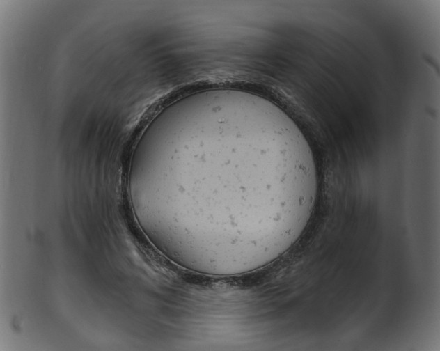 X0000102040592200807181032