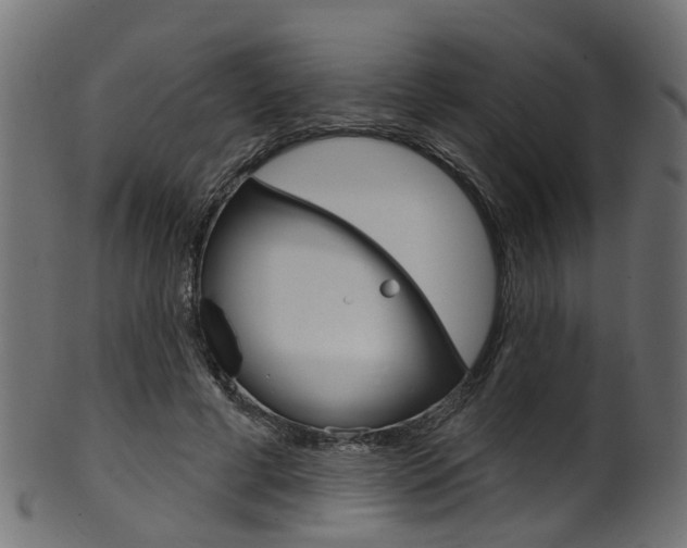 X0000102040593200807181032