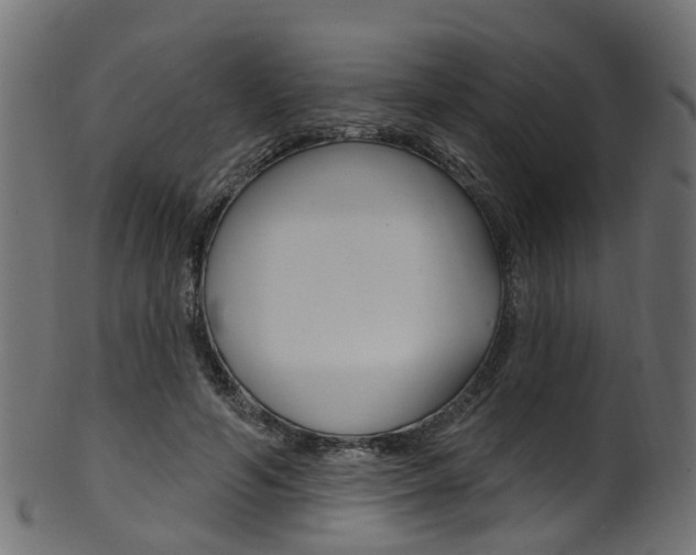 X0000102040594200807181032