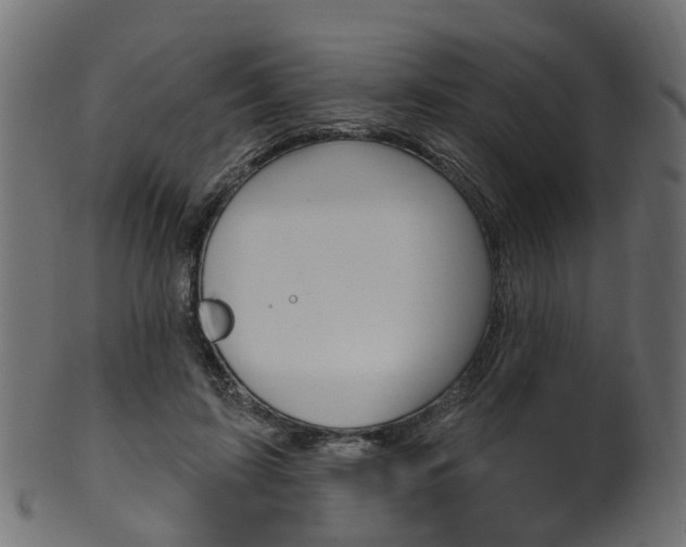 X0000102040595200807181031