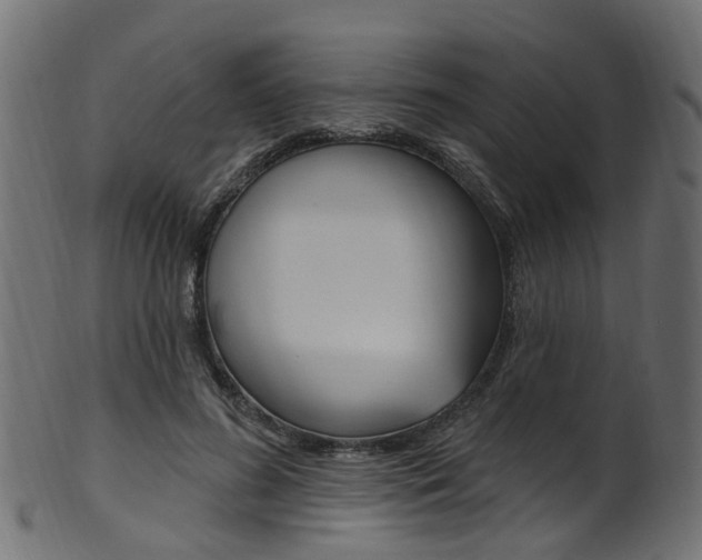 X0000102040596200807181031