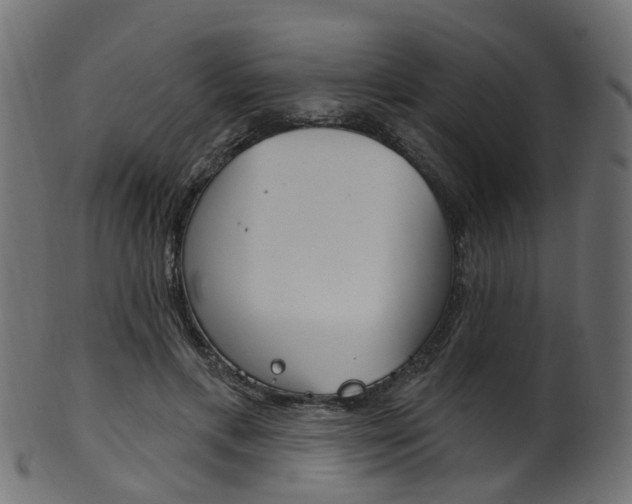 X0000102040597200807181031