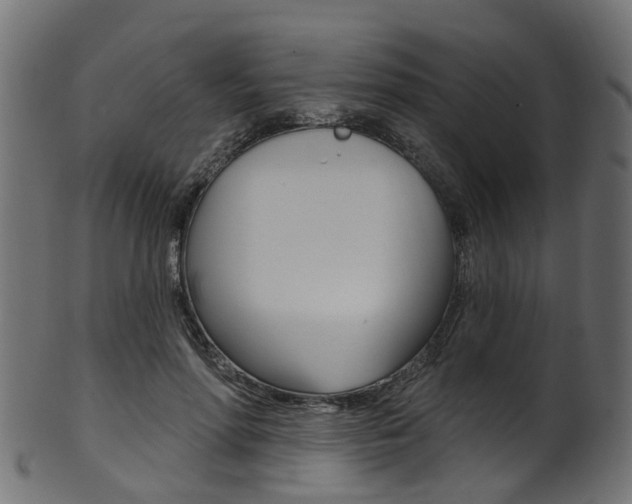 X0000102040598200807181031
