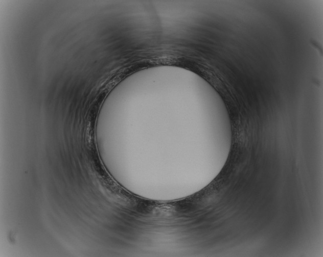 X0000102040599200807181031
