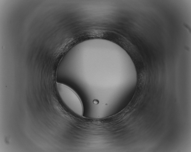X0000102040600200807181031