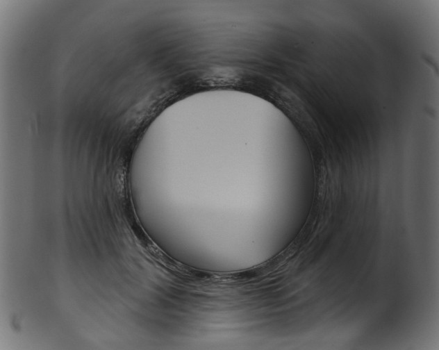 X0000102040604200807181031