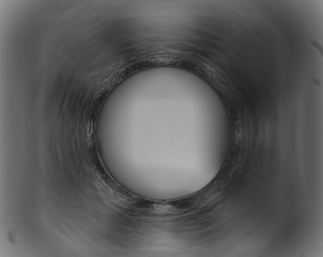 X0000102040605200807181031