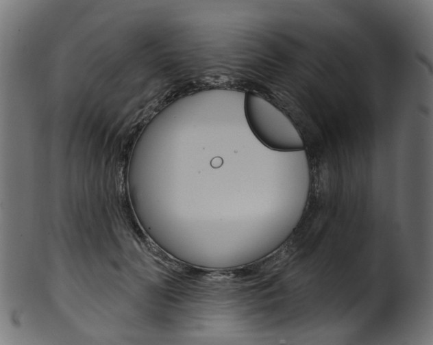 X0000102040606200807181031