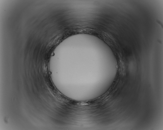 X0000102040607200807181031