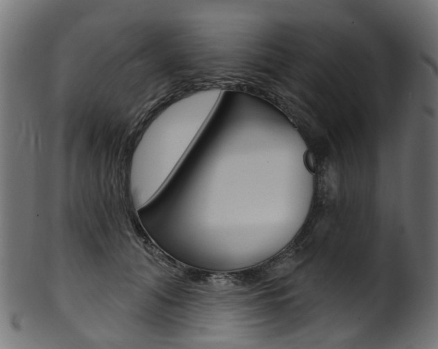 X0000102040608200807181031