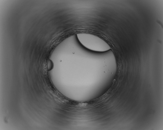 X0000102040609200807181031