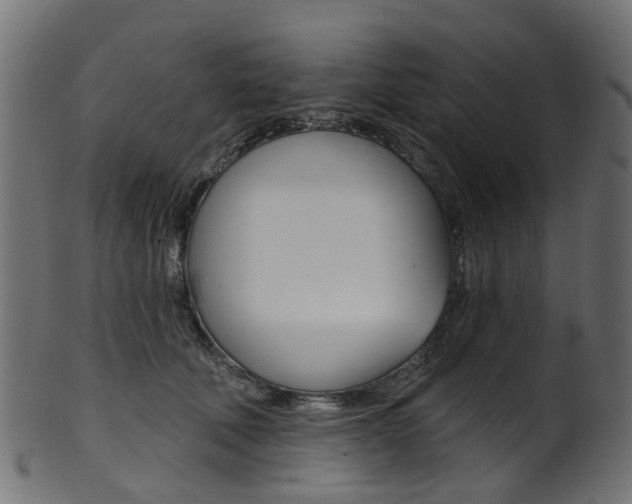 X0000102040610200807181031