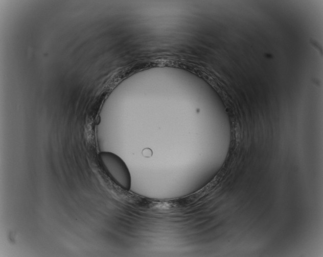 X0000102040611200807181031