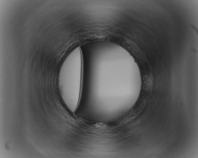 X0000102040612200807181031