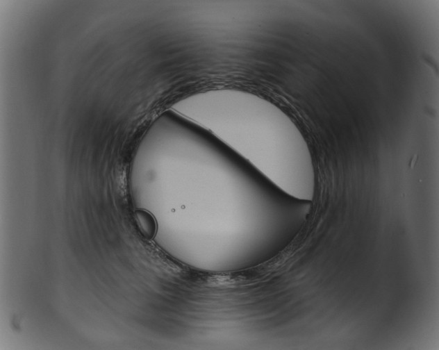 X0000102040613200807181031