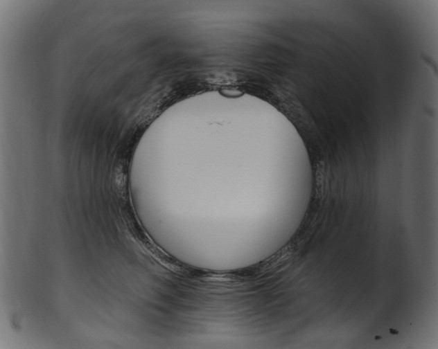 X0000102040614200807181031