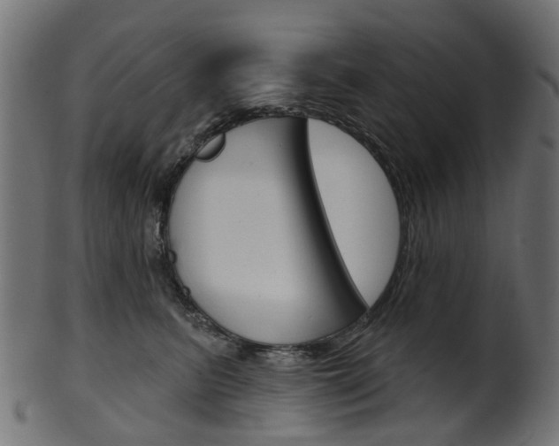 X0000102040615200807181031