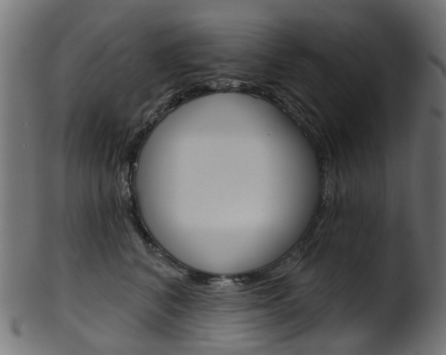 X0000102040616200807181031