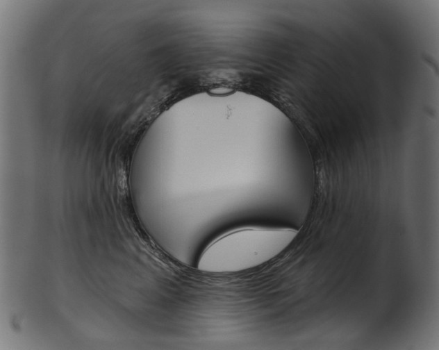 X0000102040617200807181031