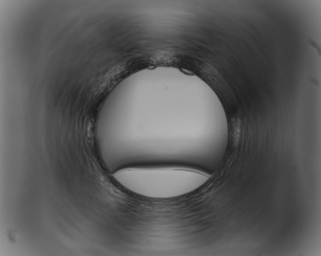 X0000102040619200807181031