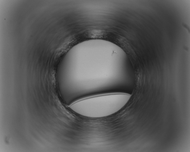 X0000102040620200807181031
