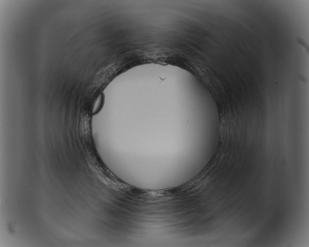 X0000102040623200807181031
