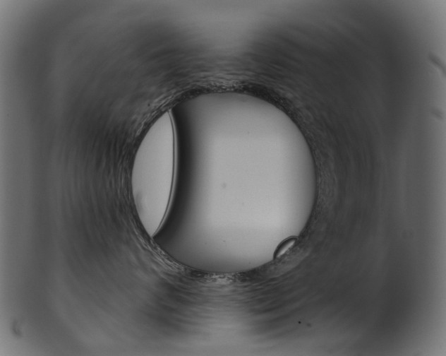X0000102040624200807181031