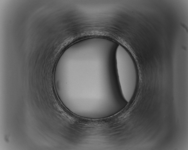 X0000102040625200807181030