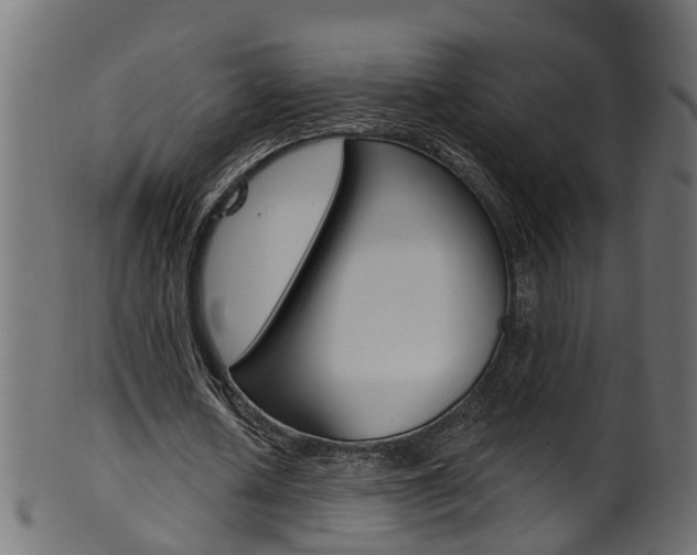 X0000102040626200807181030