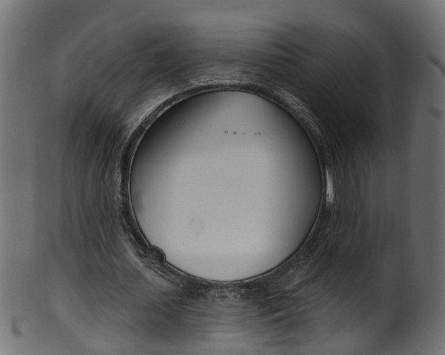 X0000102040627200807181030
