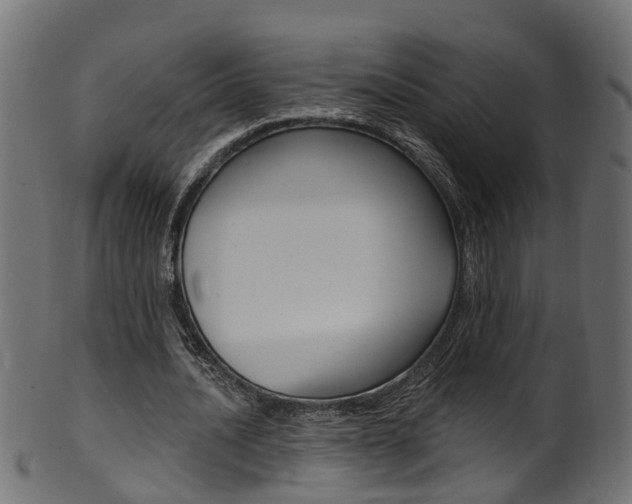X0000102040628200807181030