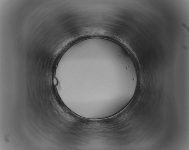 X0000102040629200807181030