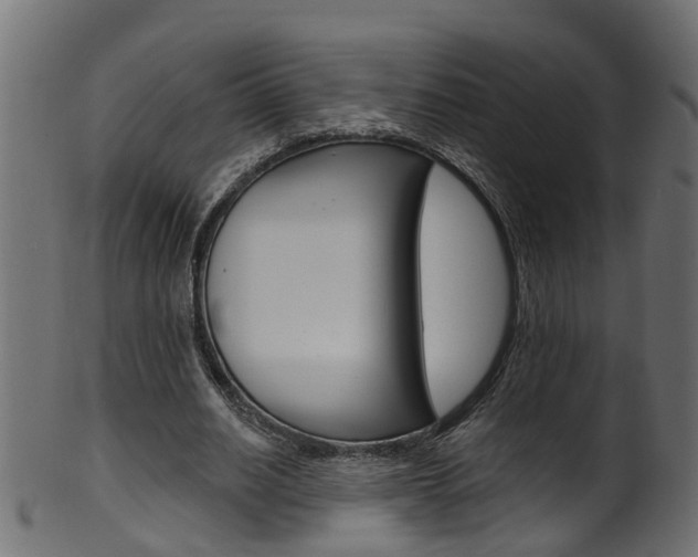 X0000102040630200807181030