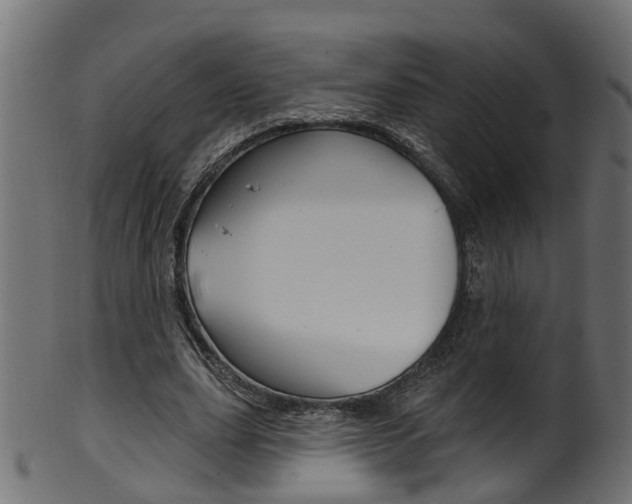 X0000102040631200807181030