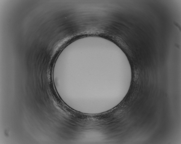 X0000102040632200807181030