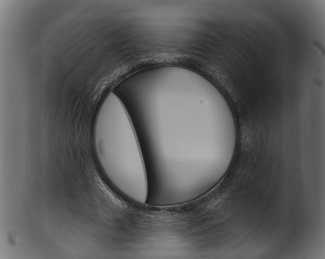 X0000102040633200807181030