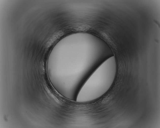 X0000102040634200807181030