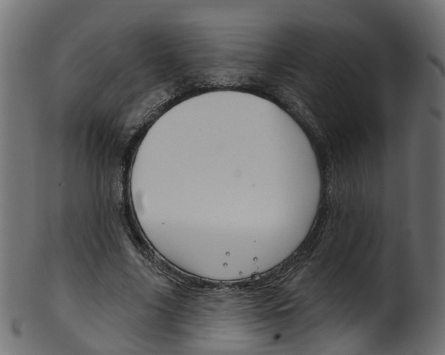 X0000102040635200807181030