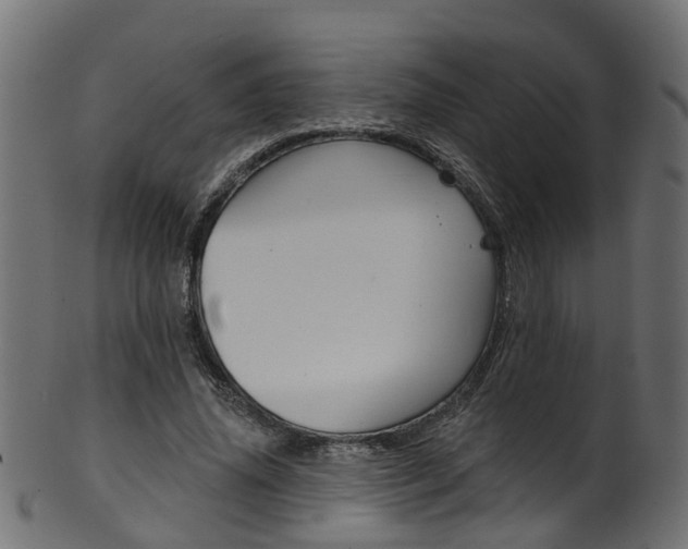 X0000102040636200807181030
