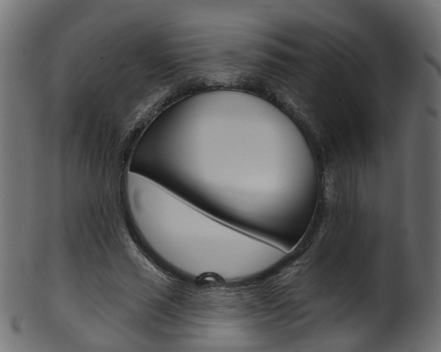X0000102040637200807181030