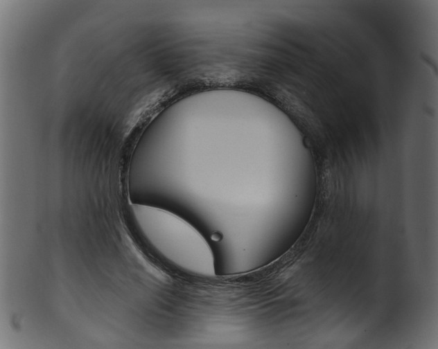X0000102040638200807181030