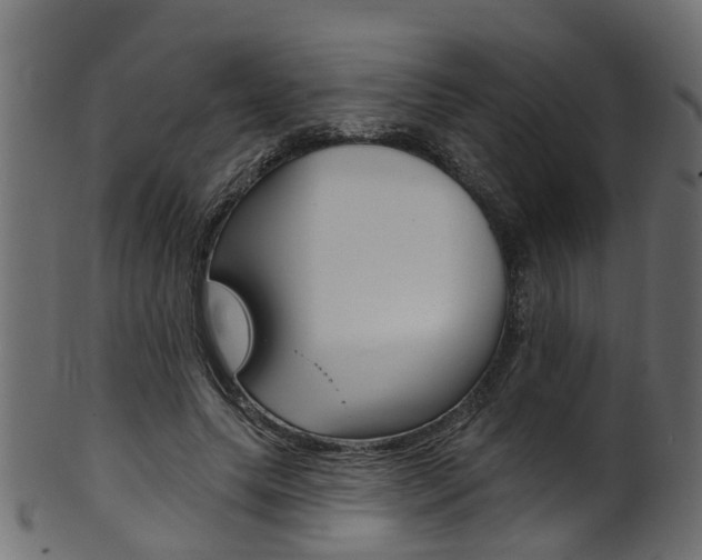 X0000102040639200807181030