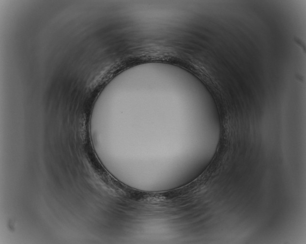 X0000102040642200807181030